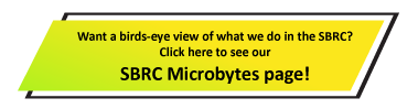 SBRC Microbytes