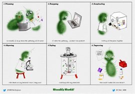 Woodii